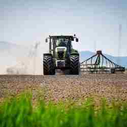 Алматы облысында 438 мың гектар жерге егін егу жоспарланып отыр