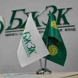 БЖЗҚ: Айына 300 мың теңге зейнетақы алу үшін тұрақты жарна қажет