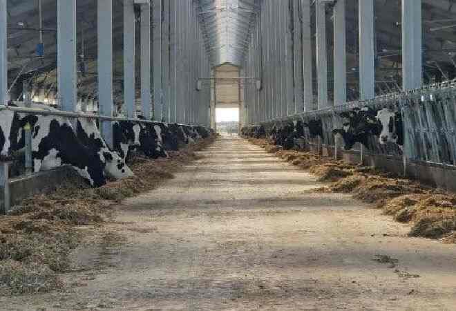 Мал шаруашылығына 6% жеңілдетілген несие беріле бастады