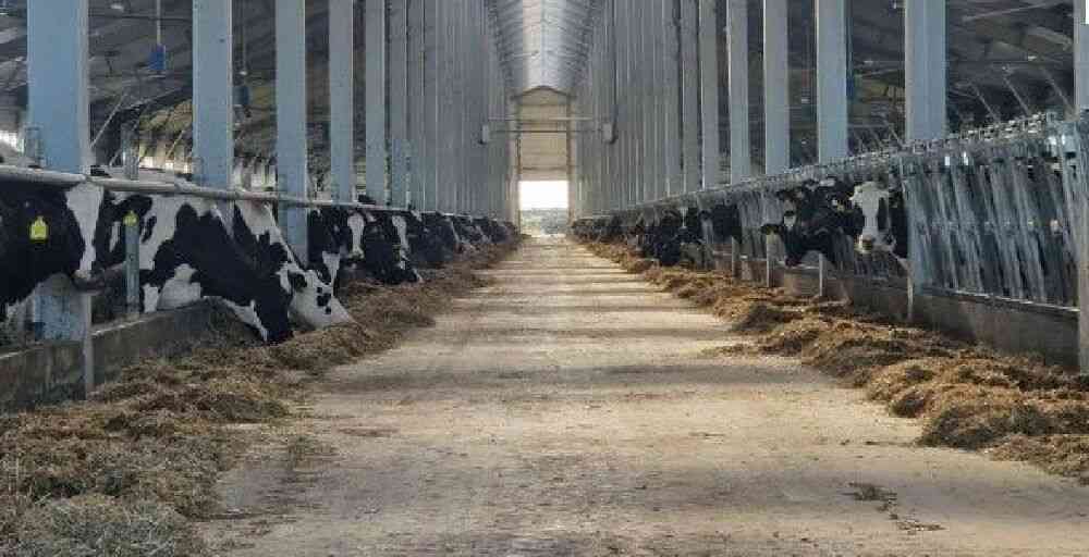 Мал шаруашылығына 6% жеңілдетілген несие беріле бастады