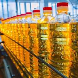 Қазақстан Қытайға күнбағыс майы экспортын арттырды