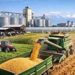 Алматы облысында 44,6 млрд теңгеге 7 агрожоба жүзеге асырылады