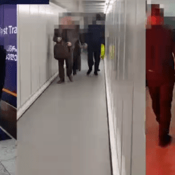 Қаржы пирамидасын ұйымдастырған күдікті Грузиядан экстрадицияланды