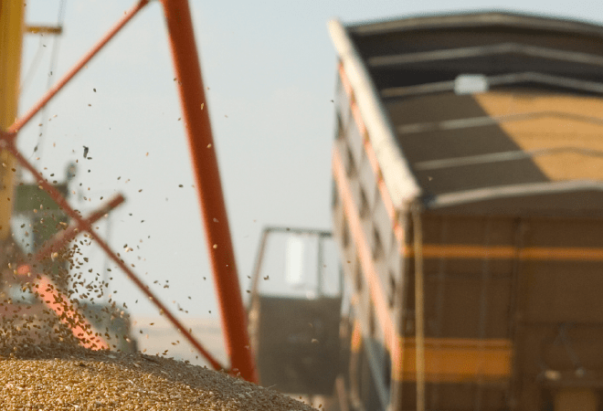 Крупнейший комплекс глубокой переработки зерна строят при участии БРК и &laquo;Даму&raquo;