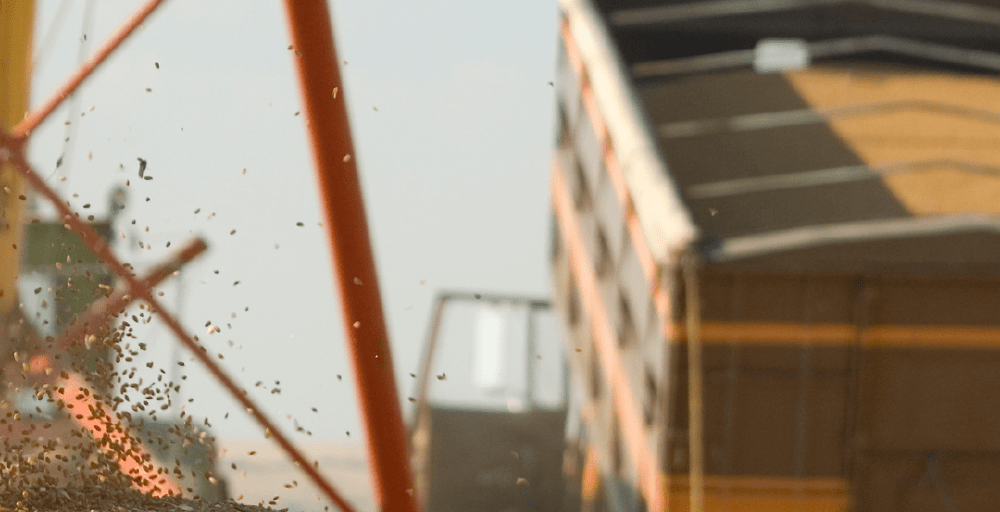 Крупнейший комплекс глубокой переработки зерна строят при участии БРК и &laquo;Даму&raquo;