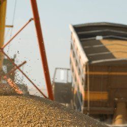 Крупнейший комплекс глубокой переработки зерна строят при участии БРК и &laquo;Даму&raquo;