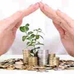 Қазақстанда жаңа форматтағы эндаумент қорға 10 млрд теңге тартылады