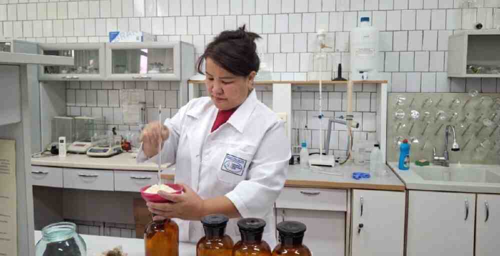 Ғалымдар шығынды азайтатын жаңа жем әзірлеп жатыр 