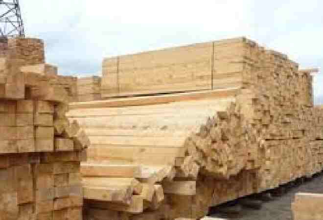 Солтүстік Қазақстанда 70 млрд теңгелік ағаш өңдеу зауыты салынады