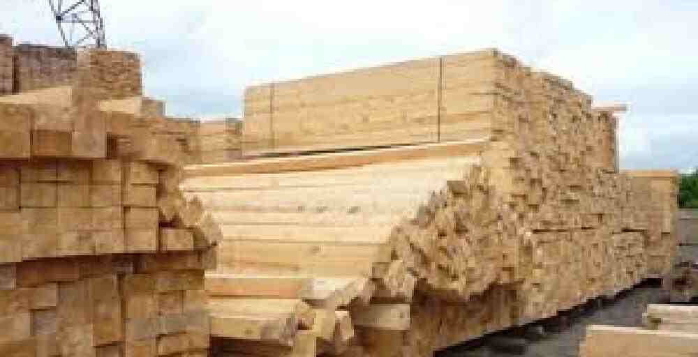 Солтүстік Қазақстанда 70 млрд теңгелік ағаш өңдеу зауыты салынады