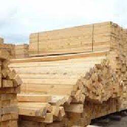 Солтүстік Қазақстанда 70 млрд теңгелік ағаш өңдеу зауыты салынады