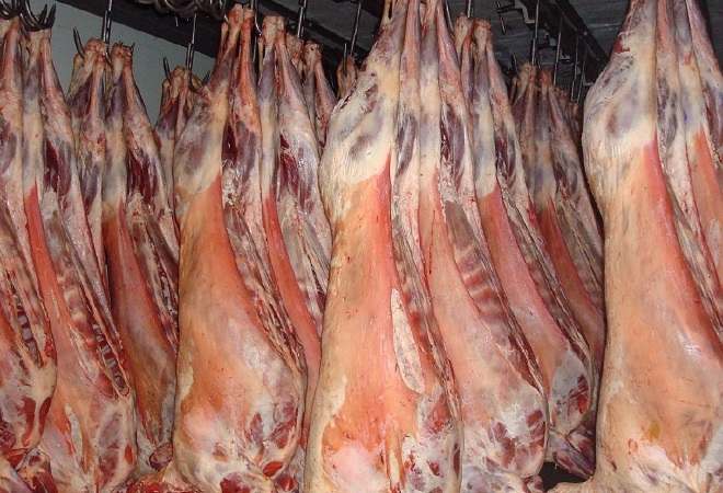 Қой етінің бағасы қымбаттады