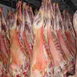 Қой етінің бағасы қымбаттады