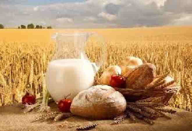 Биыл азық-түлік өндіру көлемі 12 пайызға жуықтады &ndash; АШМ