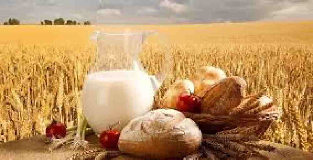 Биыл азық-түлік өндіру көлемі 12 пайызға жуықтады &ndash; АШМ