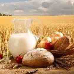 Биыл азық-түлік өндіру көлемі 12 пайызға жуықтады – АШМ