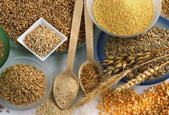 Түркияға бидай, жасымық және майлы дақылдар экспортталады