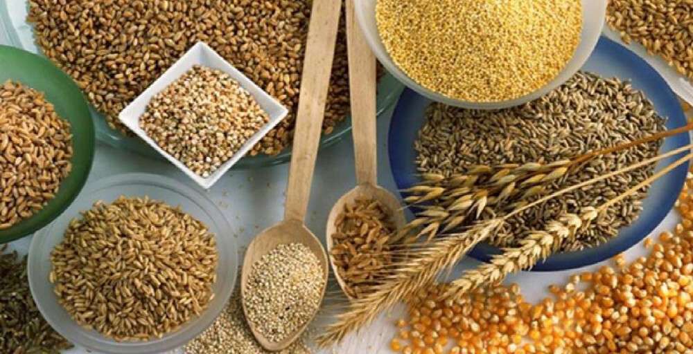 Түркияға бидай, жасымық және майлы дақылдар экспортталады