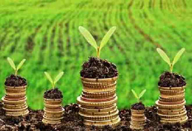 Абай облысында агробизнеске бөлінген 250 млн теңге жымқырылған