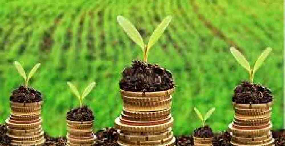 Абай облысында агробизнеске бөлінген 250 млн теңге жымқырылған