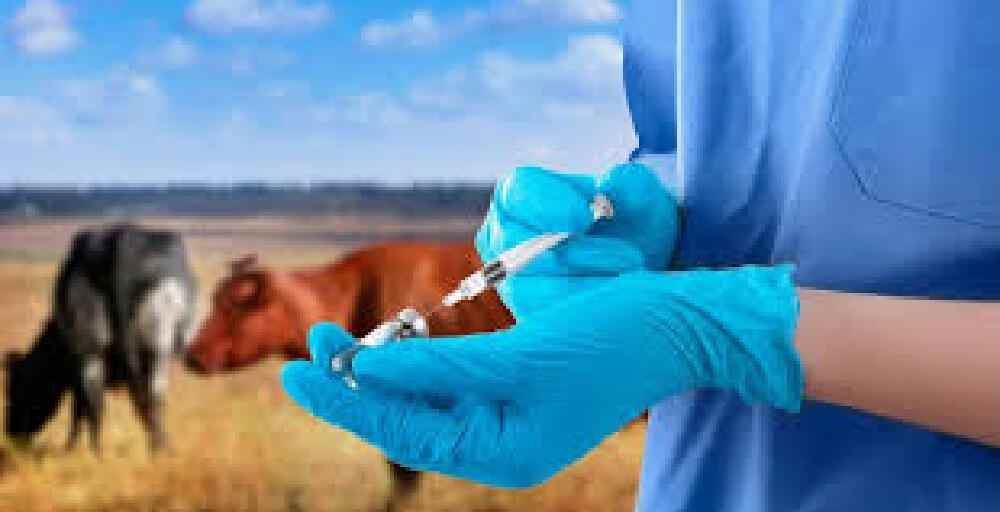 Ветеринария мамандарын қолдауға 22 млрд теңге бөлуді жоспарлап отыр