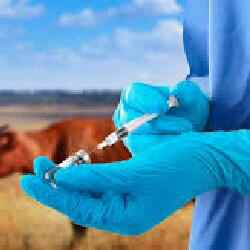 Ветеринария мамандарын қолдауға 22 млрд теңге бөлуді жоспарлап отыр