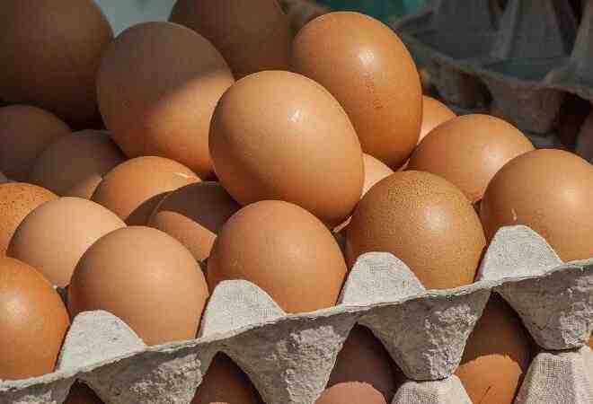 Қазақстан тауық жұмыртқасын елге әкелуге алты айға тыйым салды 