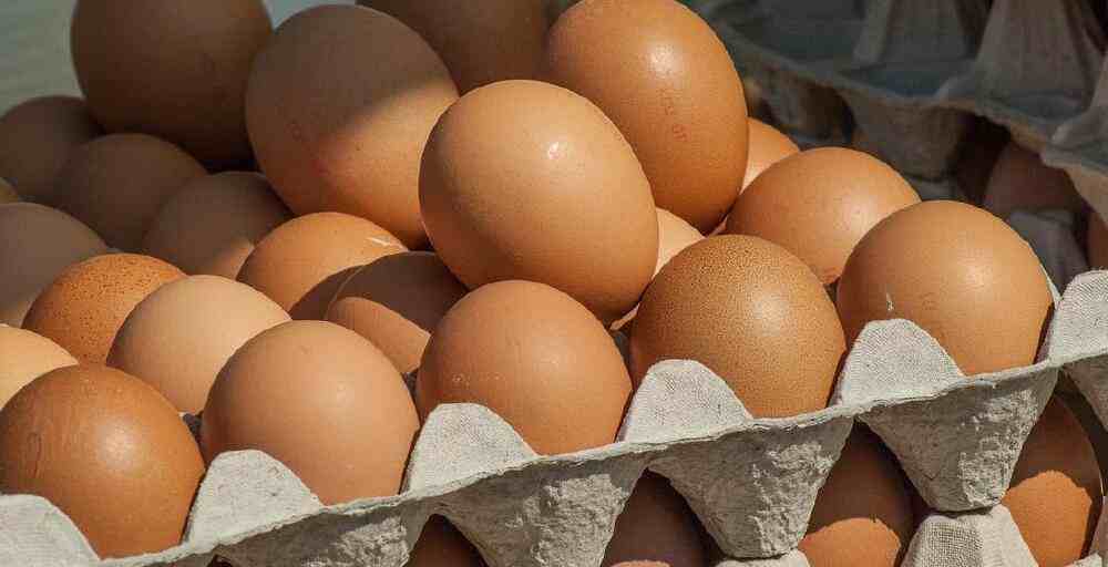 Қазақстан тауық жұмыртқасын елге әкелуге алты айға тыйым салды 