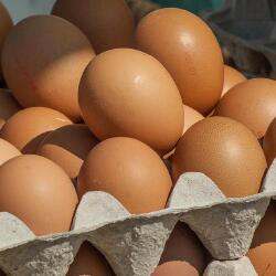 Қазақстан тауық жұмыртқасын елге әкелуге алты айға тыйым салды 