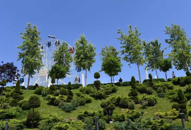 Қаланы жасылдандыру: Алматыда ірі тәлімбақ жобасы қолға алынды