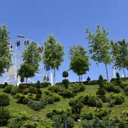 Қаланы жасылдандыру: Алматыда ірі тәлімбақ жобасы қолға алынды