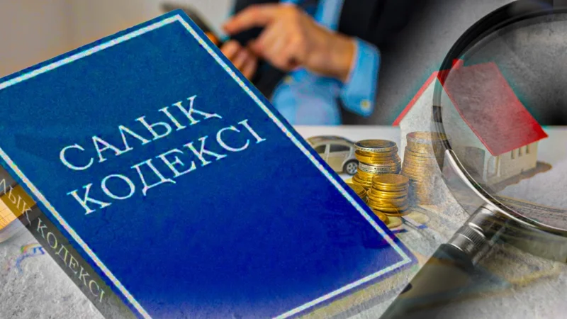 Мәжіліс Салық кодексіне өзгерістер енгізу туралы заң жобасын қарайды
