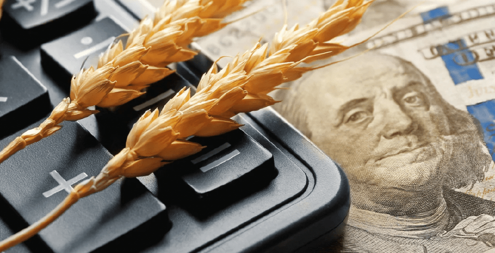 Казахстан намерен нарастить экспорт сельхозпродукции в Испанию 
