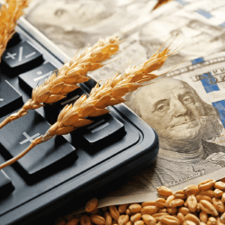 Казахстан намерен нарастить экспорт сельхозпродукции в Испанию 