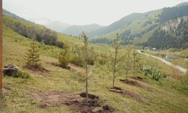 Іле Алатауы ұлттық паркінде &laquo;Журналистер аллеясы&raquo; ашылды