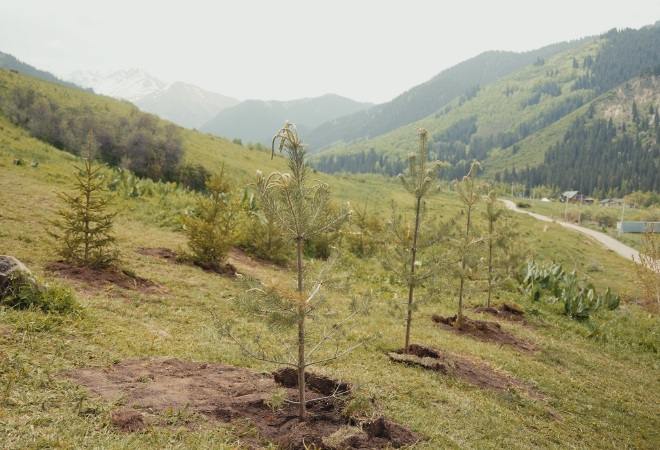 В Иле-Алатауском национальном парке открылась &laquo;Аллея журналистов&raquo; 