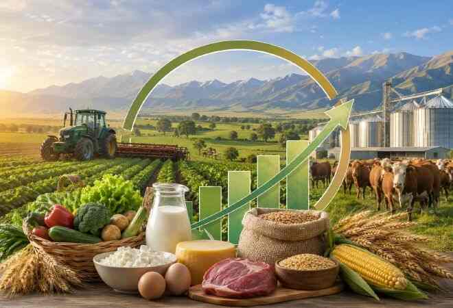 Ұйғыр ауданында биыл 36,4 млрд теңгенің өнімі өндірілді